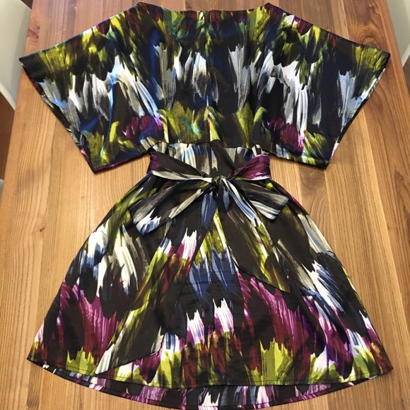 Colorful Paint Stroke BCBG Dress - Picture 2 of 5